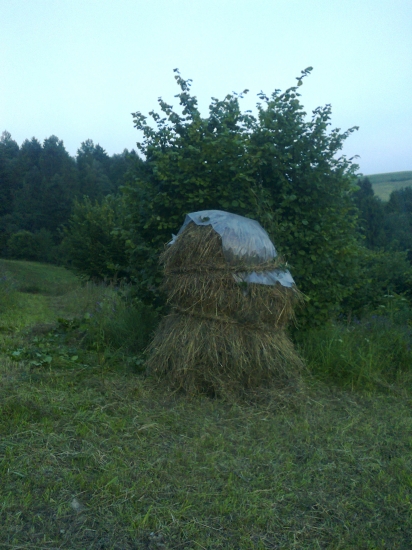 aj takto sa dá pomôcť