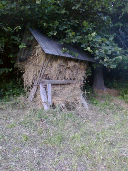 naplenený krmelček