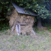 naplenený krmelček