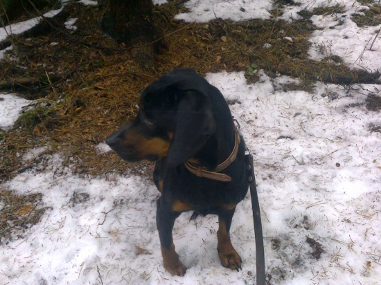 čakanie pred pohonom :)