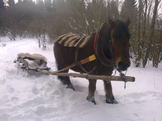 preprava krmiva ku krmelcom