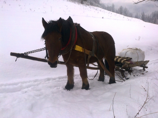 ej trebalo tahať po tom mokrom snehu :)