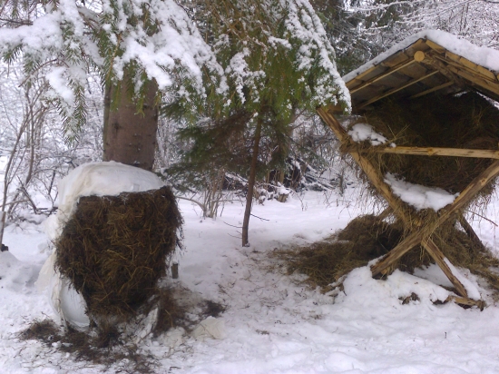 senáž na prilepšenie :)