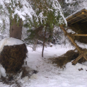 senáž na prilepšenie :)