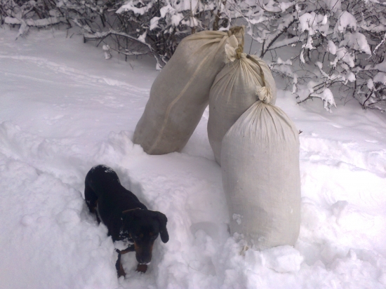 pomocnik pri prikrmovani