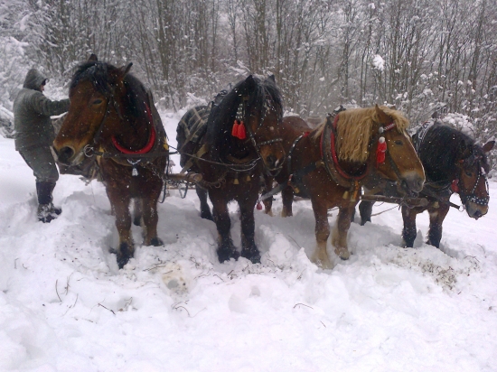 krmivo vylozene chlapci mozu oddychovat :D