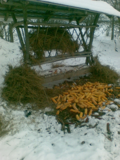 krásny začiatok jari :(