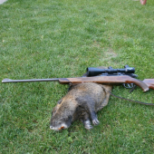 11,7 kg