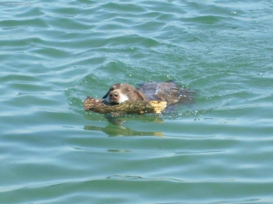 jaro z potonskej luky