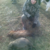 nutrie bez výstrelu