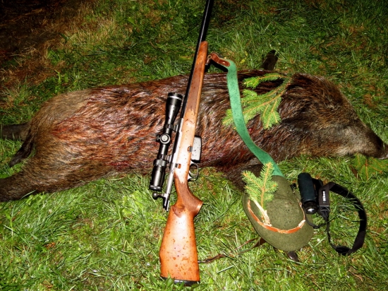 TIKKA M590 RH Continental(varmint)
