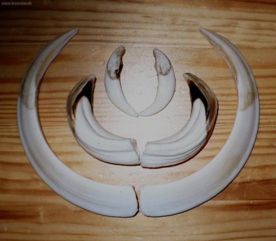 18cm
