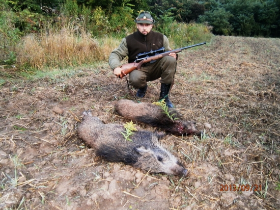 Jeden výstrel , dve prasiatká :-)