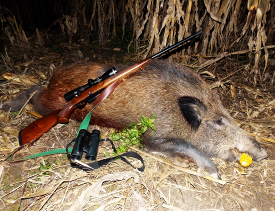 u susedov sa mi darilo