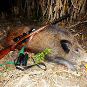 u susedov sa mi darilo