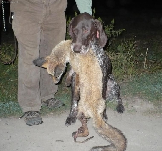 dohladávka s Olinou