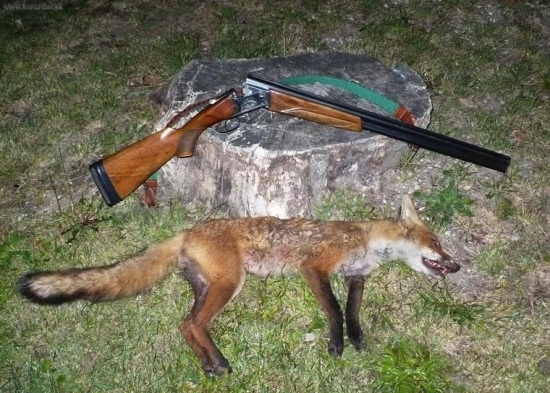 ďalšia kmotra dopoľovala