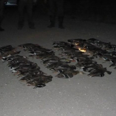 12 poľovníkov ,  54 kačíc