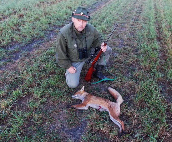 Lišiak vs. 22LR