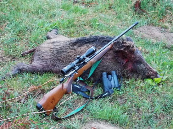 TIKKA M 590 RH Continental .308 W