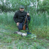 kuna skalná
