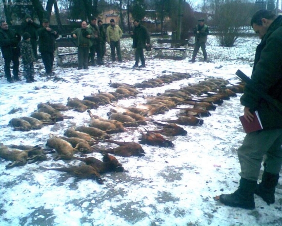 silvestrovská poľovačka