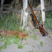 nová 308W spravila skúšku