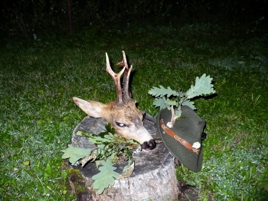 ruja 2010