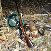 nemala šťastie 1.11.