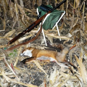 nemala šťastie 1.11.