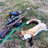 Pomohlo mi zajačie vrešťadlo