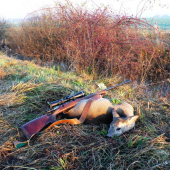 selektívny odstrel slabších jedincov