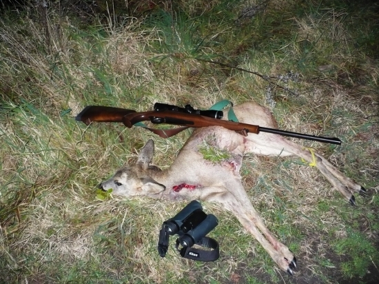 Veľmi slabý srnček cca 6 kg