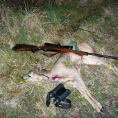 Veľmi slabý srnček cca 6 kg