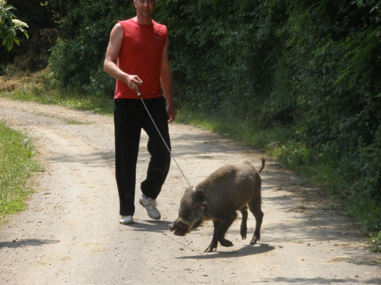Palči na prechádzke s miňom