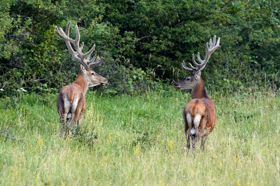 Tak bratku, kam dnes vyrazíme?