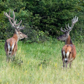 Tak bratku, kam dnes vyrazíme?