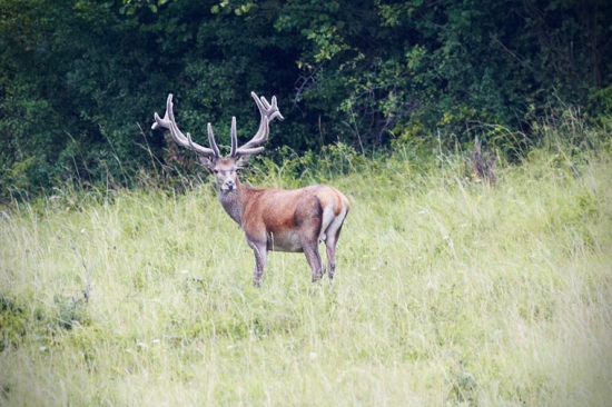Bol ďaleko, ale stojí za to...