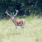 Bol ďaleko, ale stojí za to...