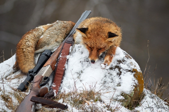 Prvý tohtoročný úlovok