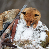 Prvý tohtoročný úlovok