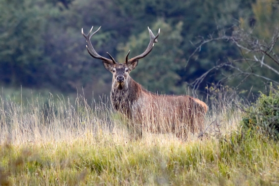 ešte jedna spomienka na ruju 2010