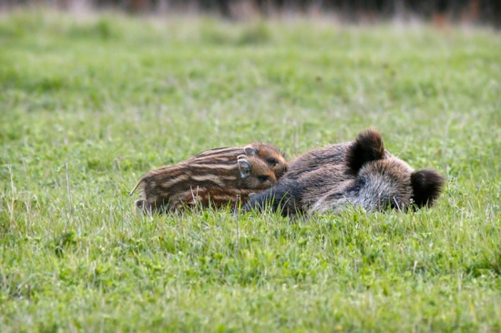 Aj tak, čerstvé chutí najlepšie...