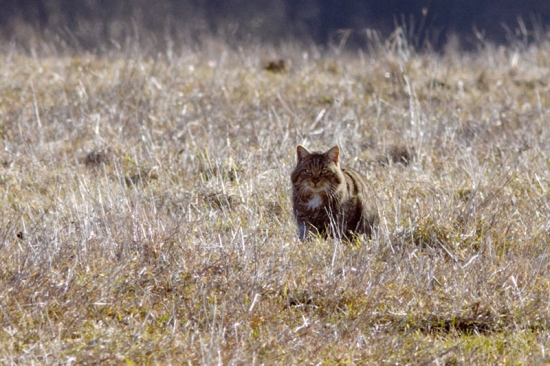 Konečne sa môžem slniť!