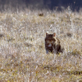 Konečne sa môžem slniť!