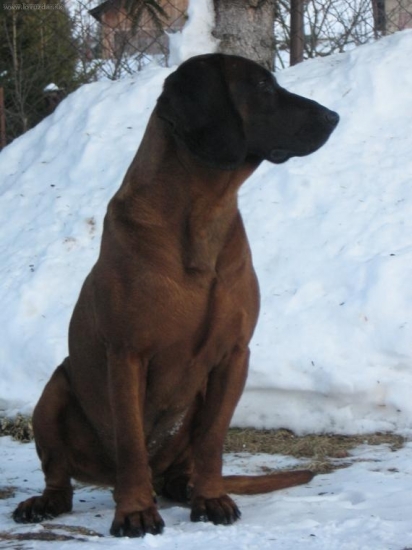 Largo Lesnícka lúka