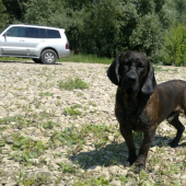 Na kupani