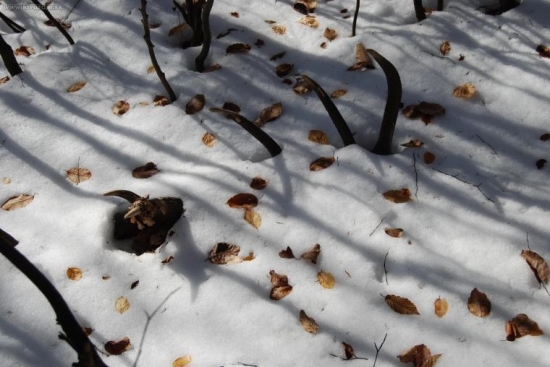 Takto som ho našiel