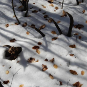 Takto som ho našiel