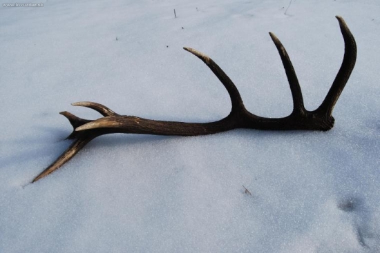 V celej svojej kráse 3,35kg